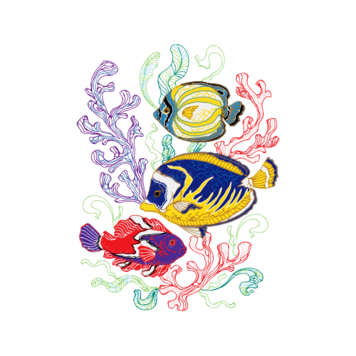 Visual Arts Animals Visual Arts Animals