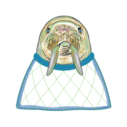 Walrus Animals Walrus Animals