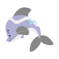 Whale Animals