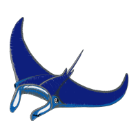 Whale Animals Whale Animals