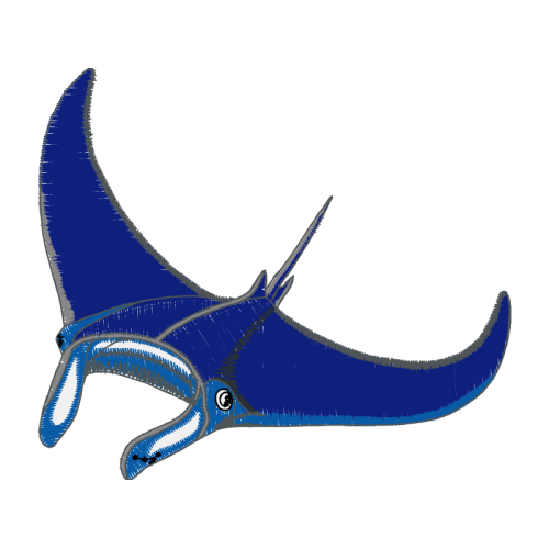 Whale Animals Whale Animals