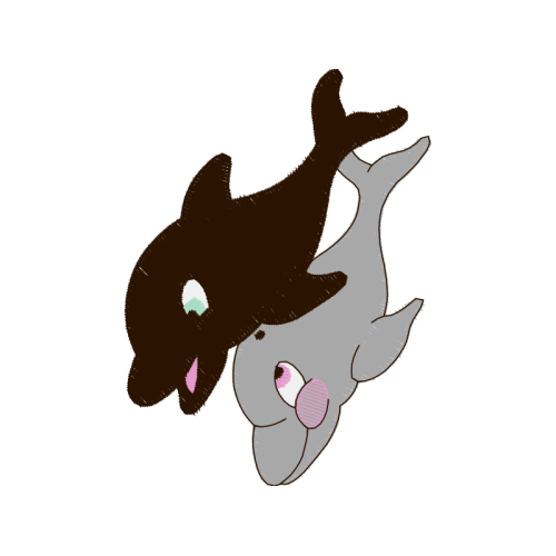 Wholphin Animals Wholphin Animals