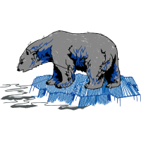 American Black Bear Animals