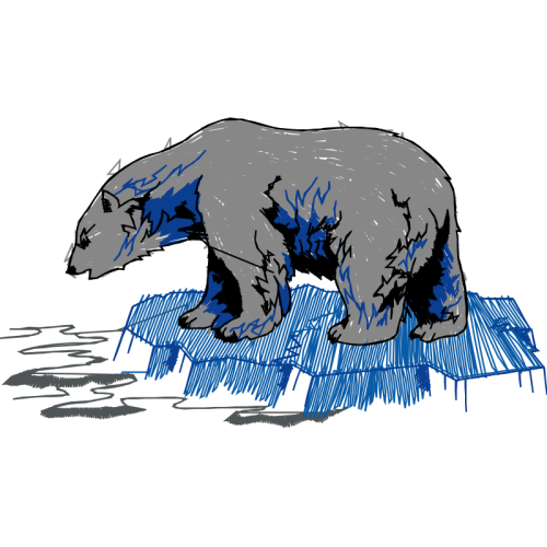 American Black Bear Animals American Black Bear Animals