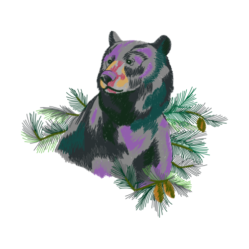 American Black Bear Animals American Black Bear Animals