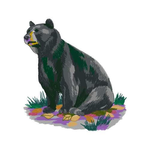 American Black Bear Animals American Black Bear Animals