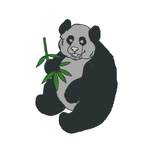 American Black Bear Animals American Black Bear Animals