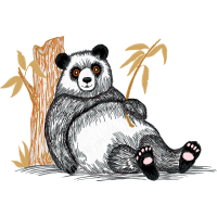 American Black Bear Animals