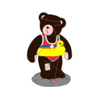 American Black Bear Animals