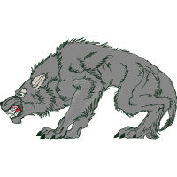 American Black Bear Animals