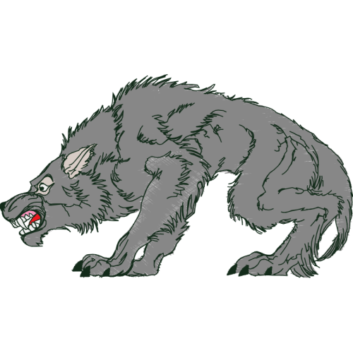 American Black Bear Animals American Black Bear Animals