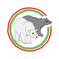 Art Animals Art Animals