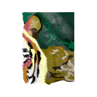 Art Animals Art Animals