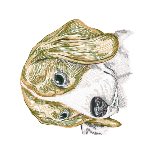 Art Animals Art Animals