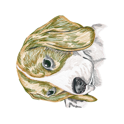 Art Animals Art Animals