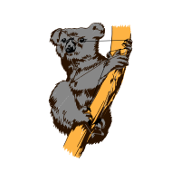 Bactrian Camel Animals