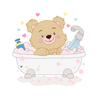 Bears Animals Bears Animals