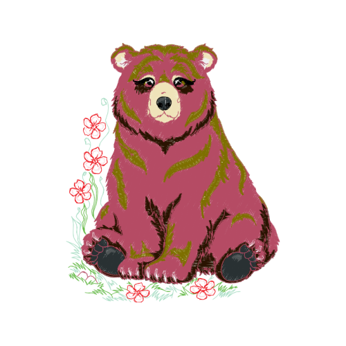 Bears Animals Bears Animals