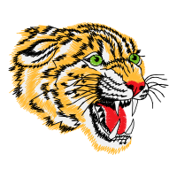 Bengal Tiger Animals