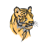 Bengal Tiger Animals Bengal Tiger Animals