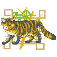 Bengal Tiger Animals