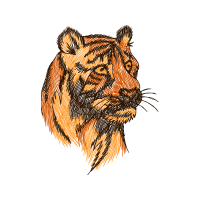 Bengal Tiger Animals