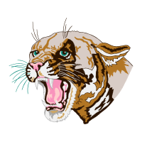 Bengal Tiger Animals