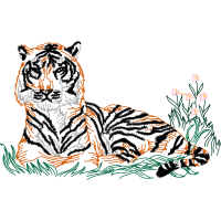 Bengal Tiger Animals