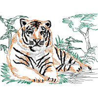 Bengal Tiger Animals