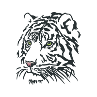 Bengal Tiger Animals