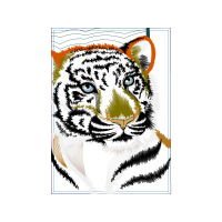 Bengal Tiger Animals