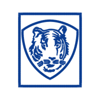 Bengal Tiger Animals