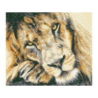 Bengal Tiger Animals