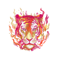 Bengal Tiger Animals