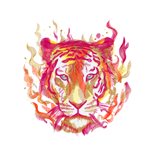 Bengal Tiger Animals Bengal Tiger Animals