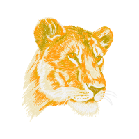 Bengal Tiger Animals