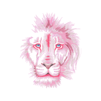 Bengal Tiger Animals