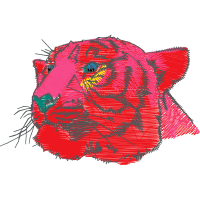 Bengal Tiger Animals