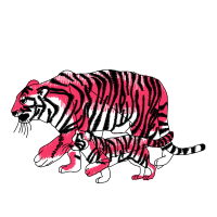 Bengal Tiger Animals