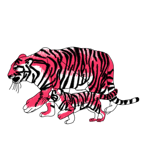 Bengal Tiger Animals Bengal Tiger Animals