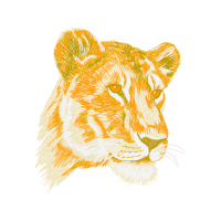 Bengal Tiger Animals