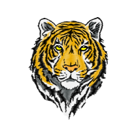 Bengal Tiger Animals