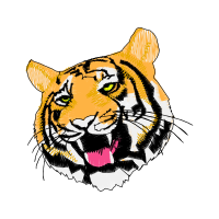 Bengal Tiger Animals
