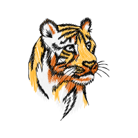 Bengal Tiger Animals