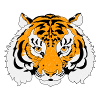 Bengal Tiger Animals