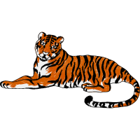 Bengal Tiger Animals