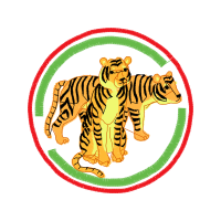 Bengal Tiger Animals