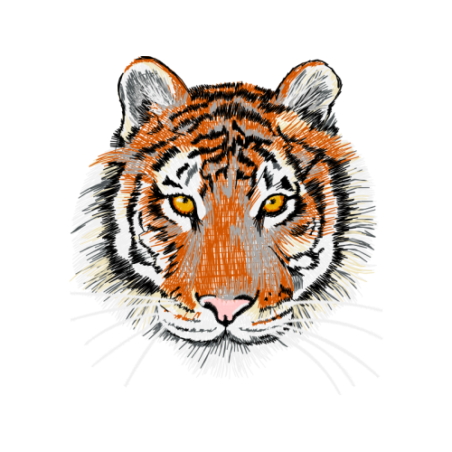 Bengal Tiger Animals Bengal Tiger Animals