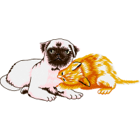 Bengal Tiger Animals