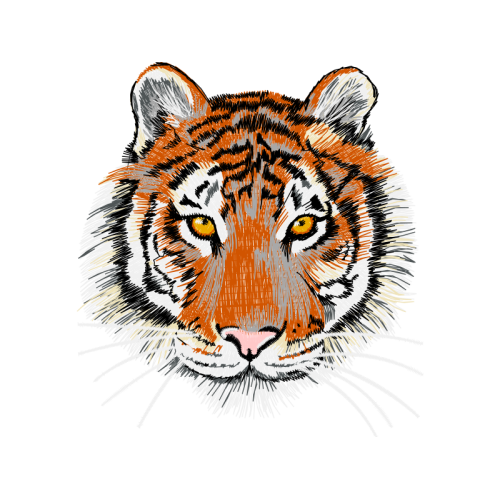 Bengal Tiger Animals Bengal Tiger Animals